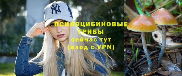 spice Абаза