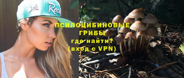 спиды Абинск