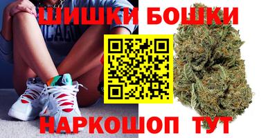 МДПВ Дубна