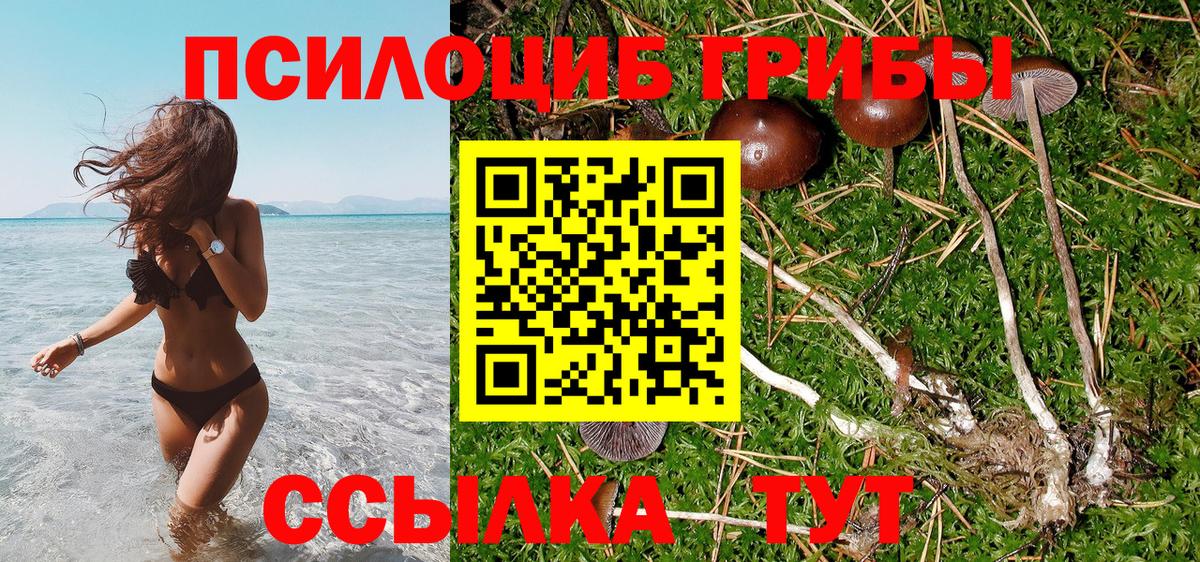 Калининград  Галлюциногенные грибы прущие грибы  Псилоцибиновые грибы мицелий  Вход с VPN 
